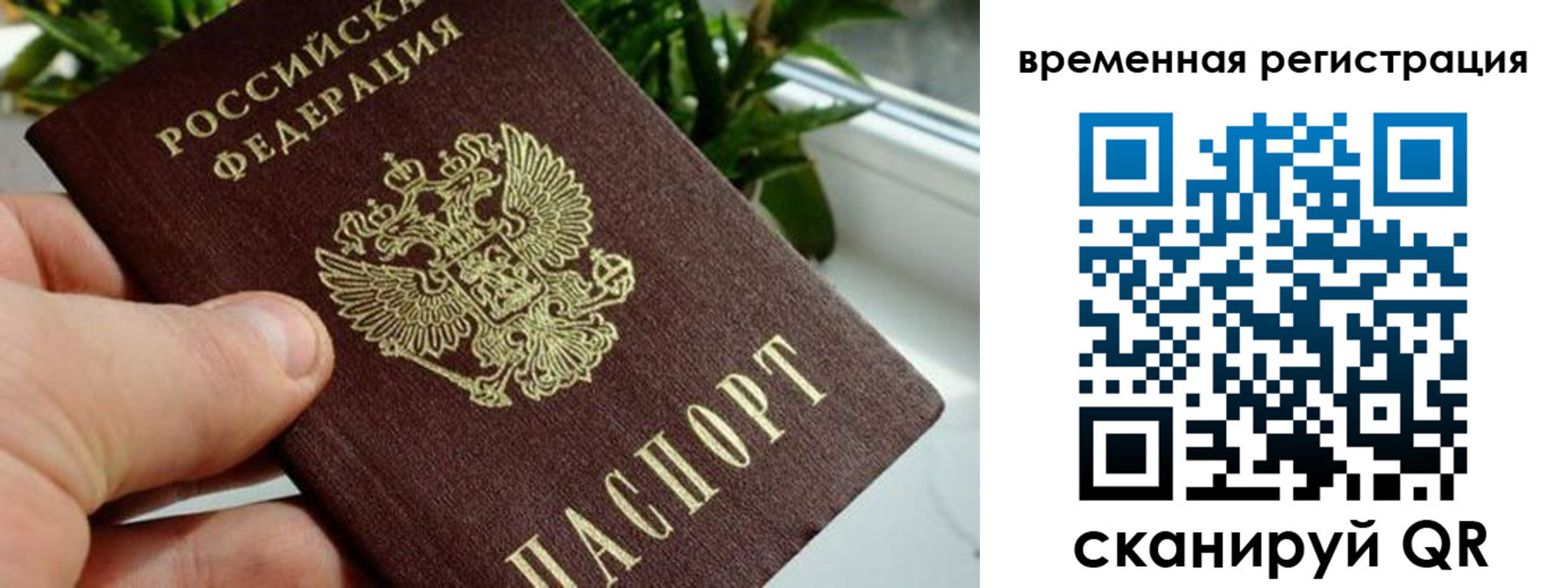 прописка поиск в Хабаровске